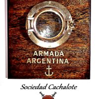 Ojo de Huey de Bronce